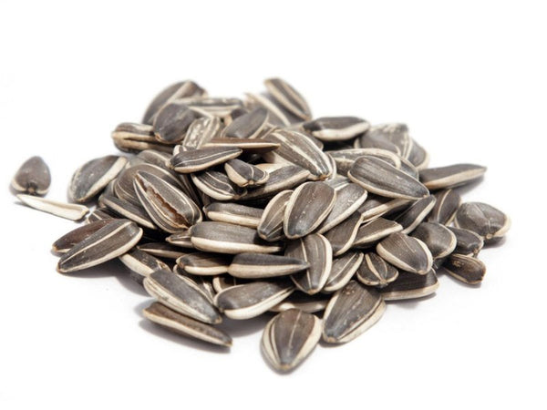 Sunflower seed
